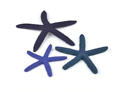 biOrb Seestern Set 3 blau (46143)
