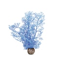 Vorschaubild biOrb Hornkoralle klein blau (46091)