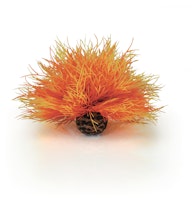 biOrb Seelilie feuer (46085)