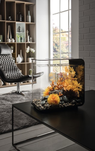 BiOrb Aquarium FLOW 30 LED