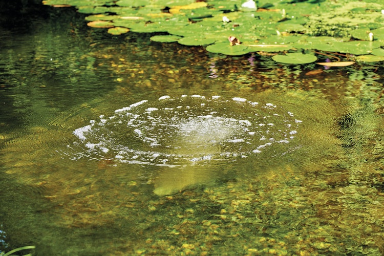Oase Belüfterstab für AquaOxy
