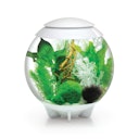 Vorschaubild BiOrb Aquarium HALO 30 MCR