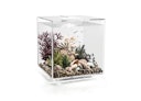 Vorschaubild BiOrb Aquarium CUBE 30 MCR