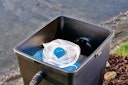 Vorschaubild Oase DuoBoost 5 cm 250 ml