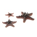 Vorschaubild biOrb Seestern Set 3 pink (46136)