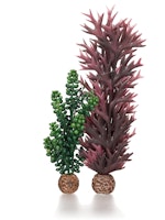 biOrb Seeperlen & Seetang olivgrün (55073)