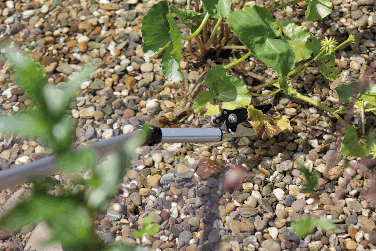 Oase FlexiCut 2 in 1