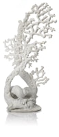 biOrb Fächerkorallen Ornament weiß