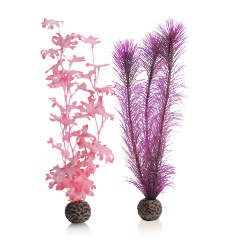 biOrb Seetang Set mittelgroß pink (46082)
