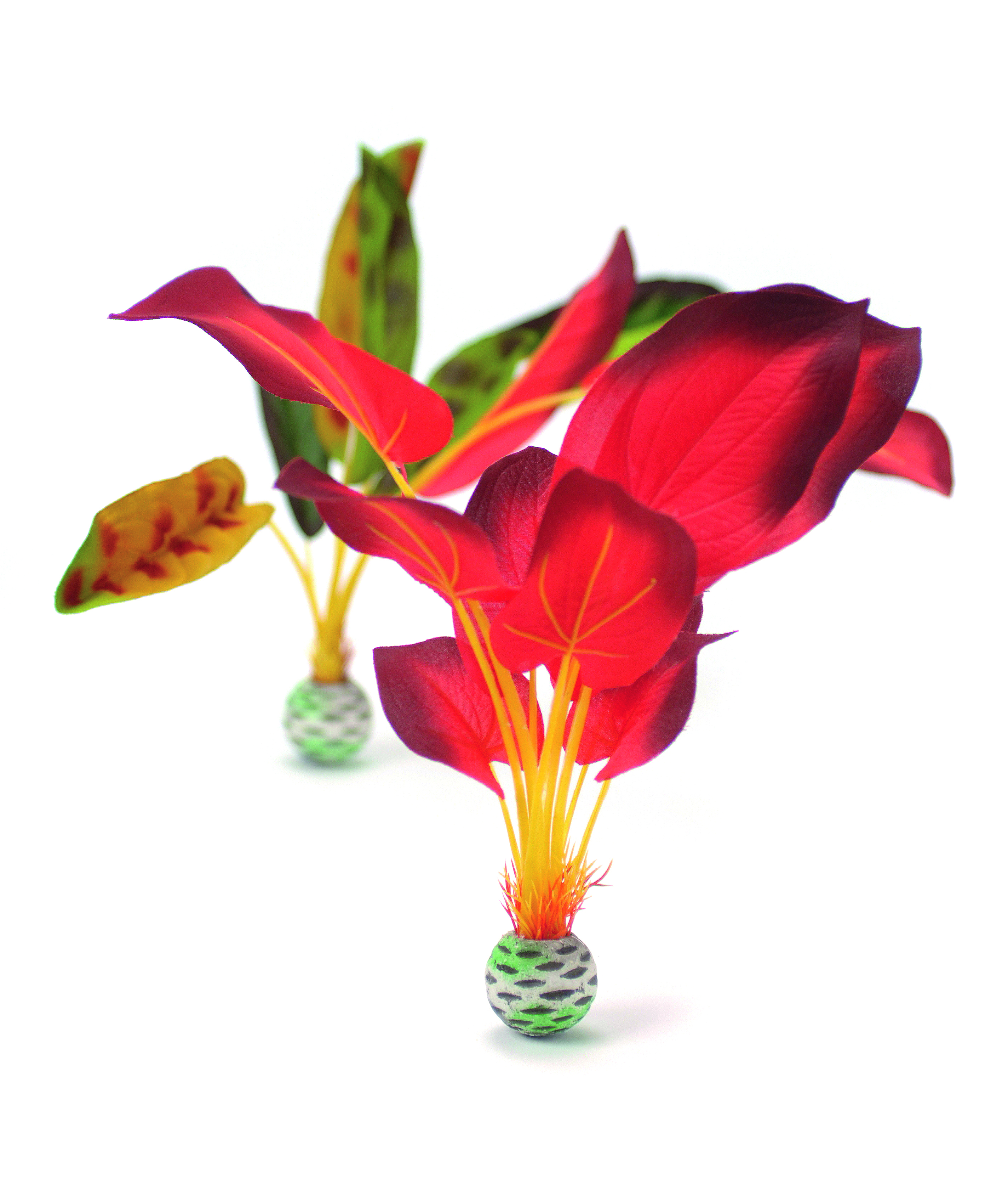 biOrb Seidenpflanzen Set groß grün & rot (46102)