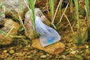 Vorschaubild Oase DuoBoost 2 cm 250 ml
