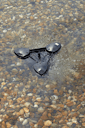 Vorschaubild Oase SwimSkim 25
