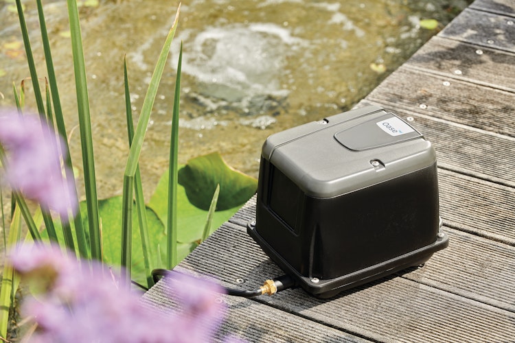 Oase Teichbelüfter AquaOxy 5000
