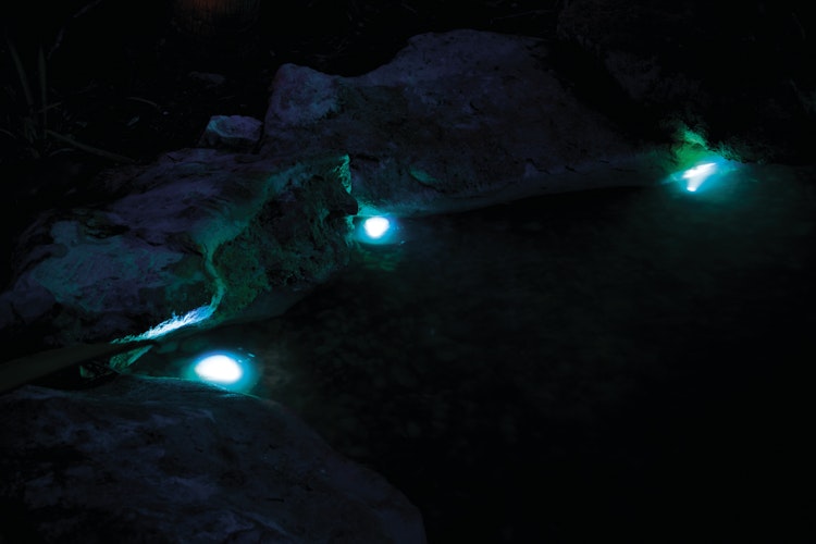 Pontec Teich- und Gartenbeleuchtung PondoStar LED RGBW Set 3