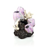 biOrb Seepflanzen Ornament klein pink (46145) biOrb Seepflanzen Ornament klein pink (46145)Zubehörbild