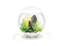 Vorschaubild BiOrb Aquarium HALO 30 MCR