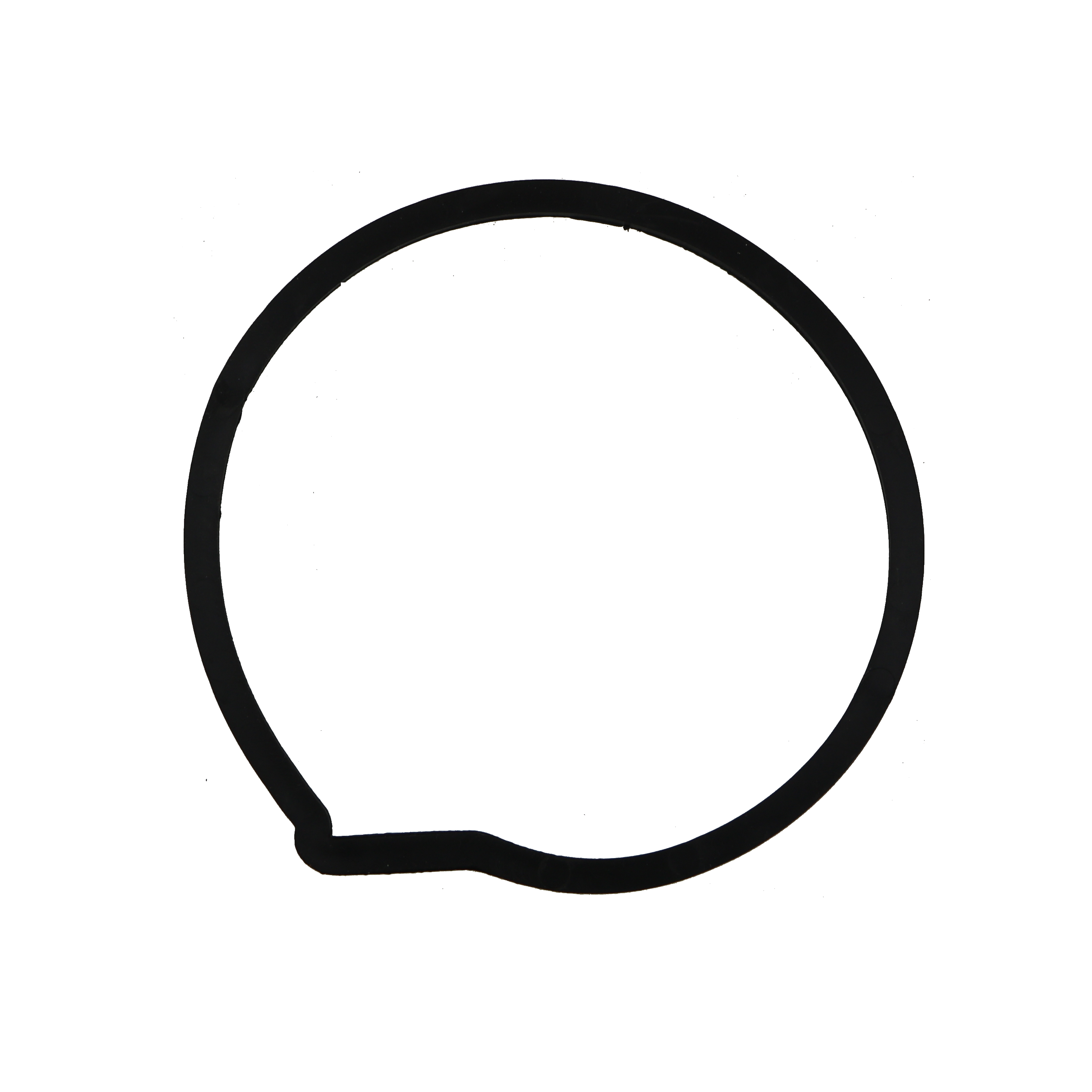 Oase Ersatzteil Flachdichtung 110 x 100 x 2,5 USP 60 (13346)