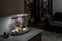 Vorschaubild BiOrb Aquarium LOOP 30 LED