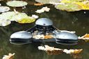 Vorschaubild Oase SwimSkim 25
