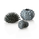 Vorschaubild biOrb Seeigel Set schwarz (48365)