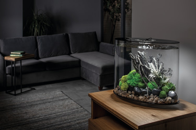 BiOrb Aquarium LOOP 30 MCR