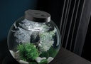 Vorschaubild biOrb Decor Set Fairytales
