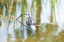 Vorschaubild Pontec Entwässerungspumpe PondoDrain Mud 8000