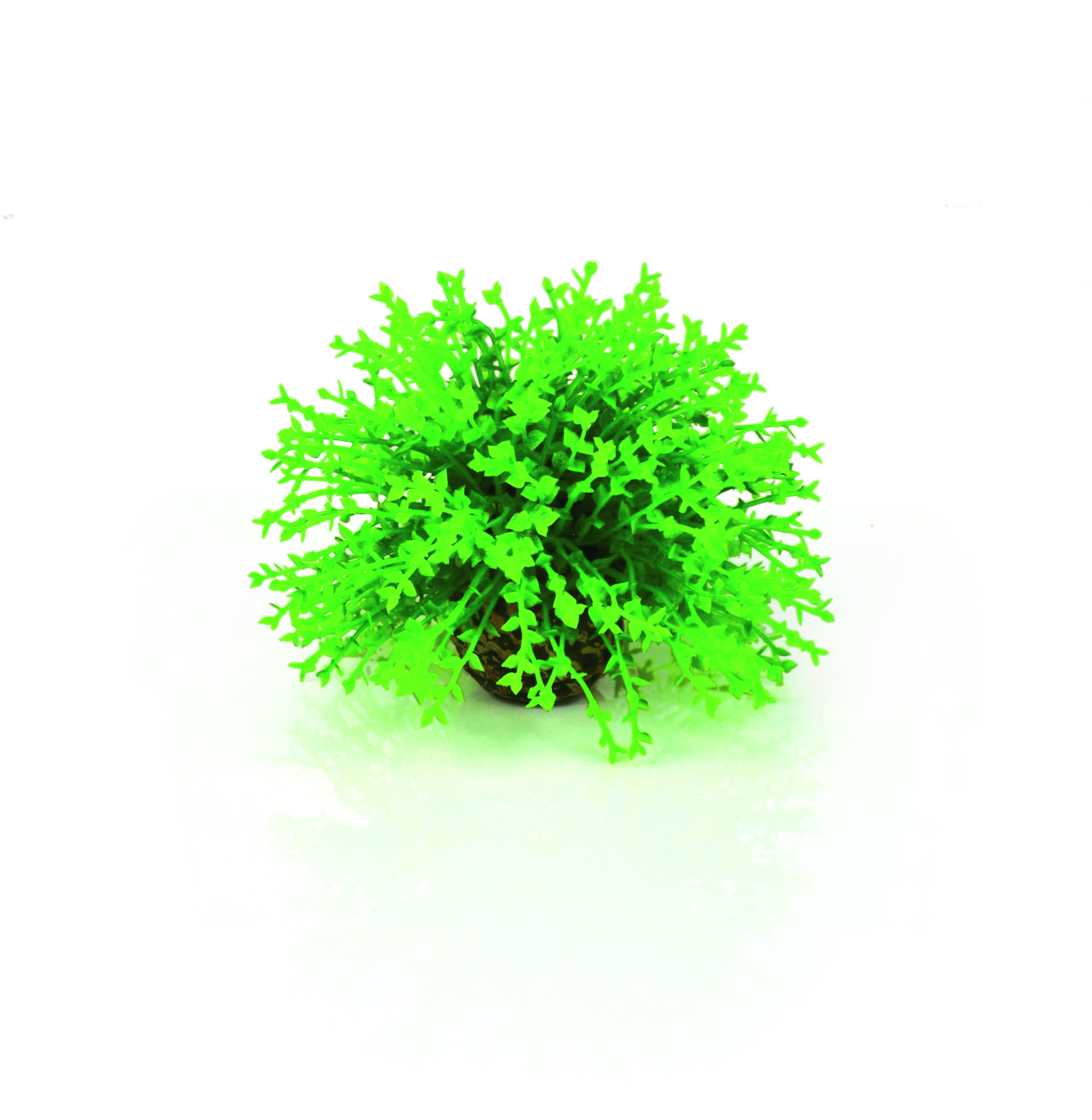 biOrb Blumenball grün (46087)