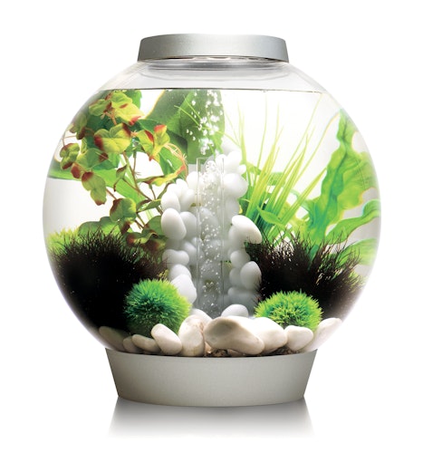 biOrb Aquarium  CLASSIC 30 MCR silber