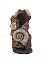 Vorschaubild biOrb Muschelbaumstumpf Ornament