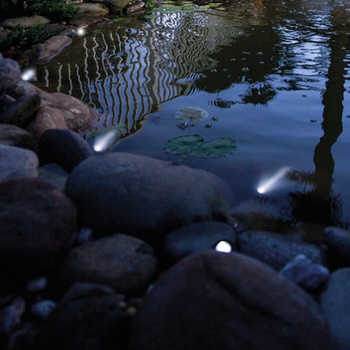 Pontec Teich- und Gartenbeleuchtung PondoStar LED Set 6