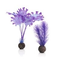 biOrb Seetang Set klein lila (46079)