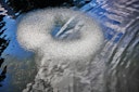 Vorschaubild Oase Belüfterring D 60 für AquaOxy