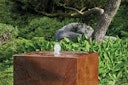 Vorschaubild Oase Wasserspiel Cube 60 CS