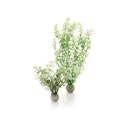Vorschaubild biOrb Winterblume Set 2 (46067)