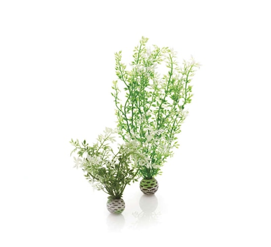 biOrb Winterblume Set 2 (46067)