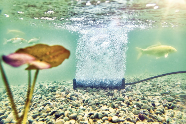 Oase Belüfterstab für AquaOxy