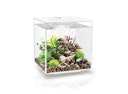Vorschaubild BiOrb Aquarium CUBE 30 MCR