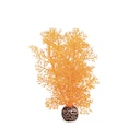 Vorschaubild biOrb Hornkoralle klein orange (46094)