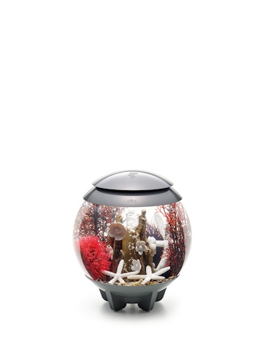 biOrb Decor Set 15L Red Forest (48442)