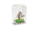 Vorschaubild BiOrb Aquarium LIFE 60 MCR