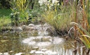 Vorschaubild Pontec Solar-Wasserspielset PondoSolar 150