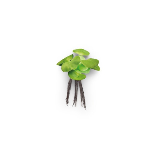 Pontec Kunstpflanze PondoHyacinth online kaufen