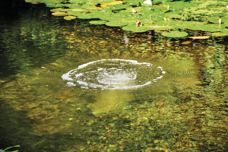 Oase Belüfterstab für AquaOxy