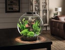 Vorschaubild biOrb Aquarium  CLASSIC 30 MCR silber