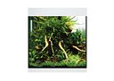Vorschaubild Oase Aquarium StyleLine Modell 85