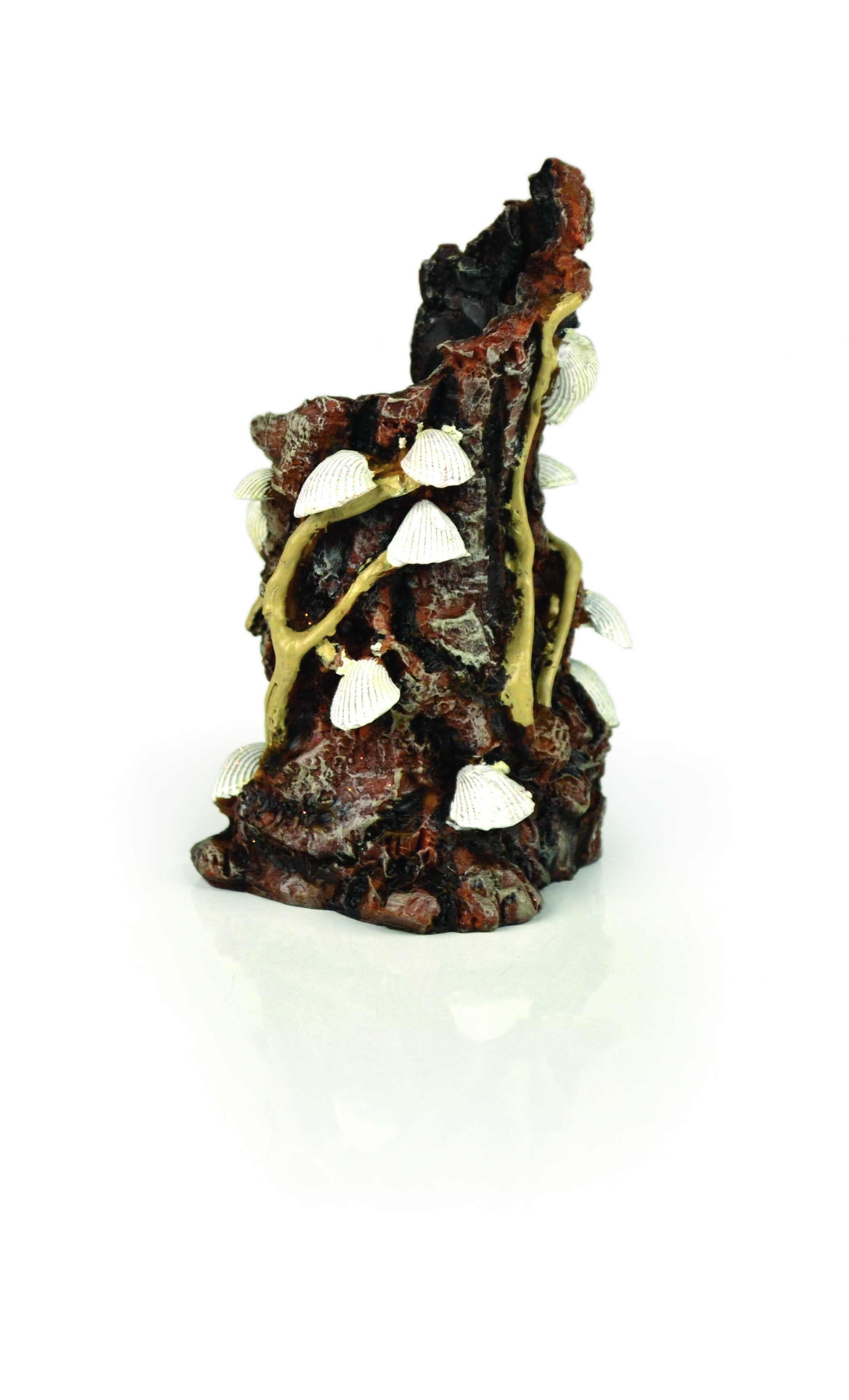 biOrb Muschelbaumstumpf Ornament weiß (46146)