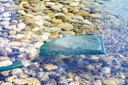 Vorschaubild Oase Algenschutz AquaActiv AquaHumin