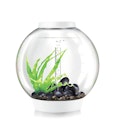 Vorschaubild BiOrb Aquarium CLASSIC 60 MCR