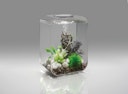 Vorschaubild BiOrb Aquarium LIFE 15 LED